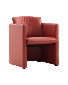 Fauteuil Saga P06-100