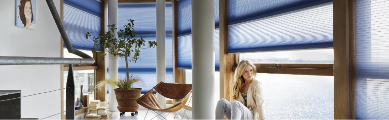 Raambekleding - Duette Shades