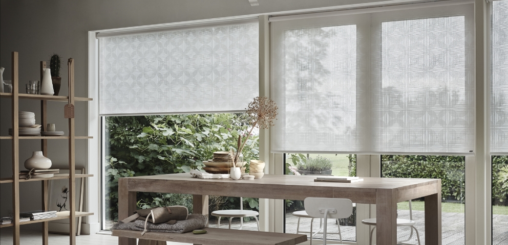 Raambekleding - Rolgordijnen